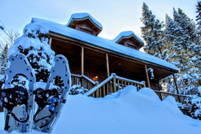 Chalet des Sources SPA Gazebo panoramique